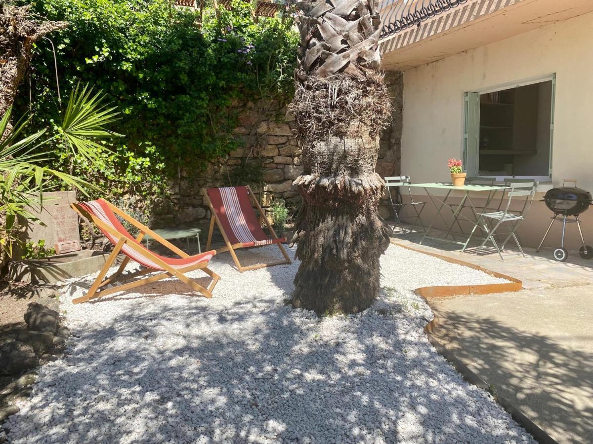 Gite Le Palmier - Perfectly Located Cosy Studio With Private Garden Puissalicon المظهر الخارجي الصورة