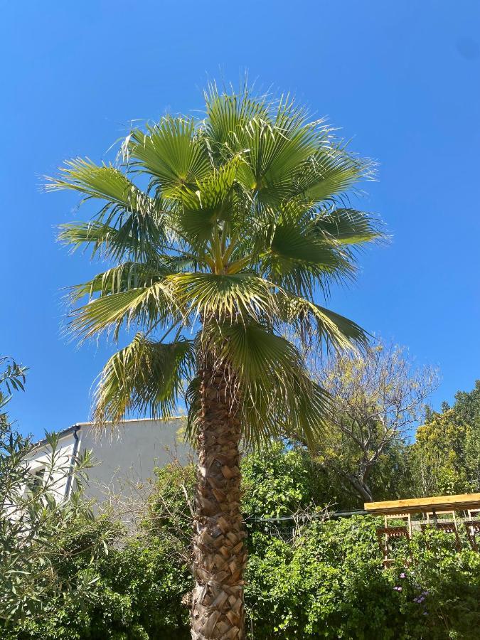 Gite Le Palmier - Perfectly Located Cosy Studio With Private Garden Puissalicon المظهر الخارجي الصورة