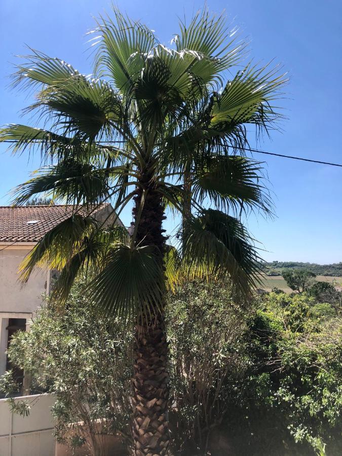 Gite Le Palmier - Perfectly Located Cosy Studio With Private Garden Puissalicon المظهر الخارجي الصورة